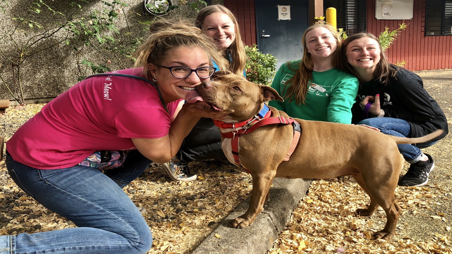 Greenhill Humane Society - ImpactClub®
